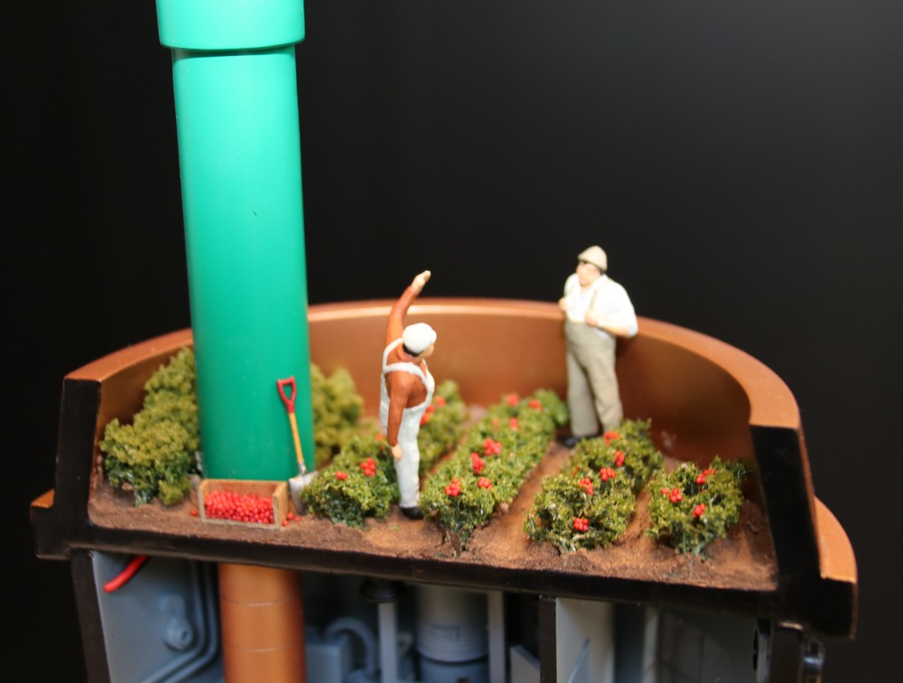 屋上ではコーヒーの栽培・収穫作業が行われている