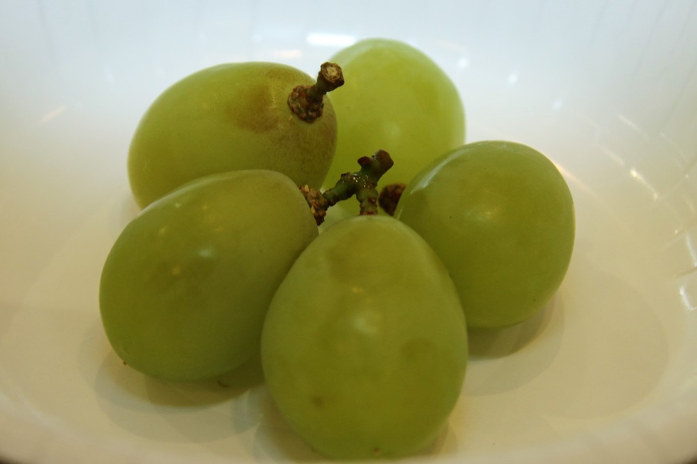 試食として出された「マスカット・オブ・アレキサンドリア」