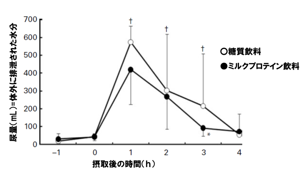 「糖質飲料」と「乳たんぱく質を含む飲料」摂取後の尿量比較