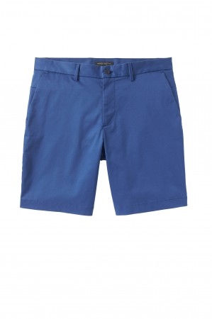 デザイン性と機能性を両立したサマーコレクション