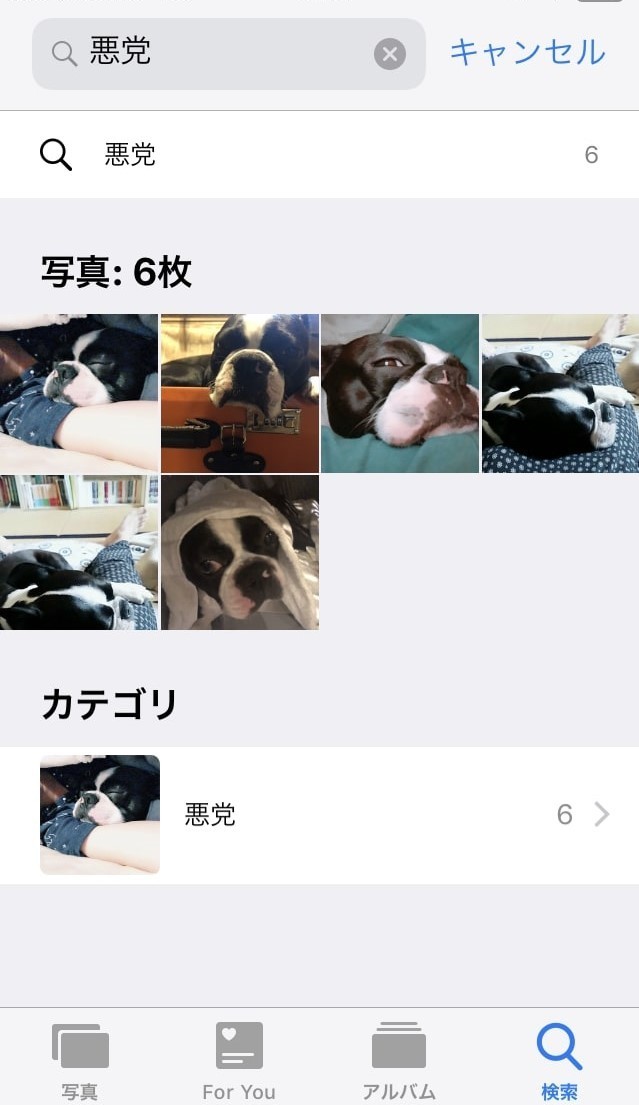 Hey, Siri、「悪党」の写真見せて！　iPhoneに表示された写真が意外すぎる