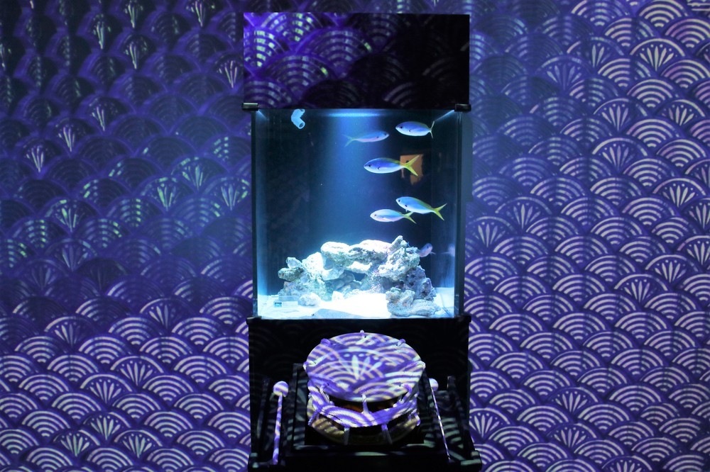 新エリア「パターンズ」に設置されている水槽