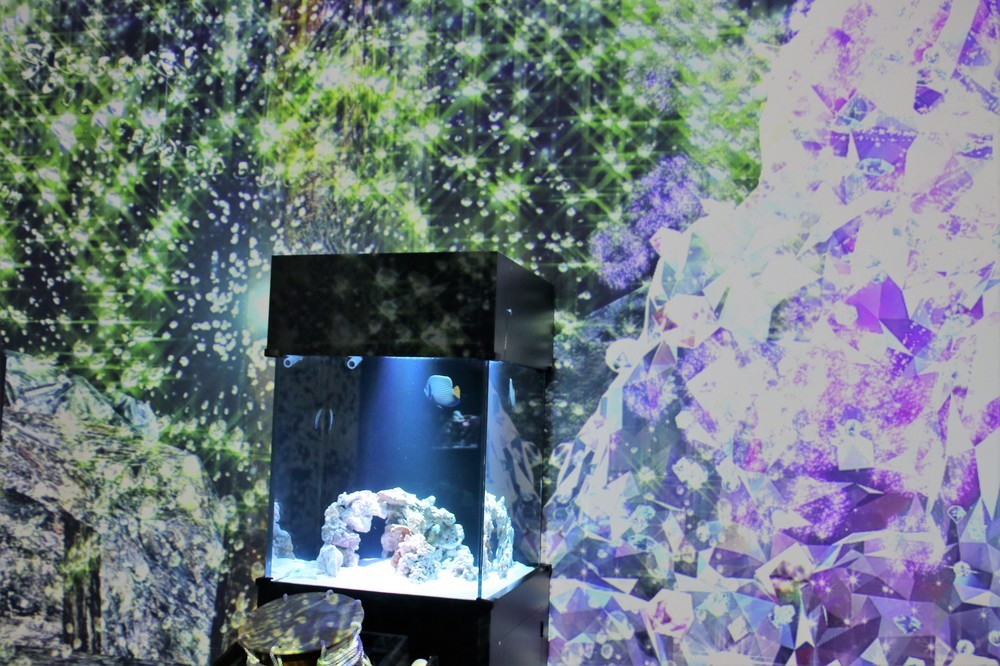 数分おきに光の演出が行われる「パターンズ」