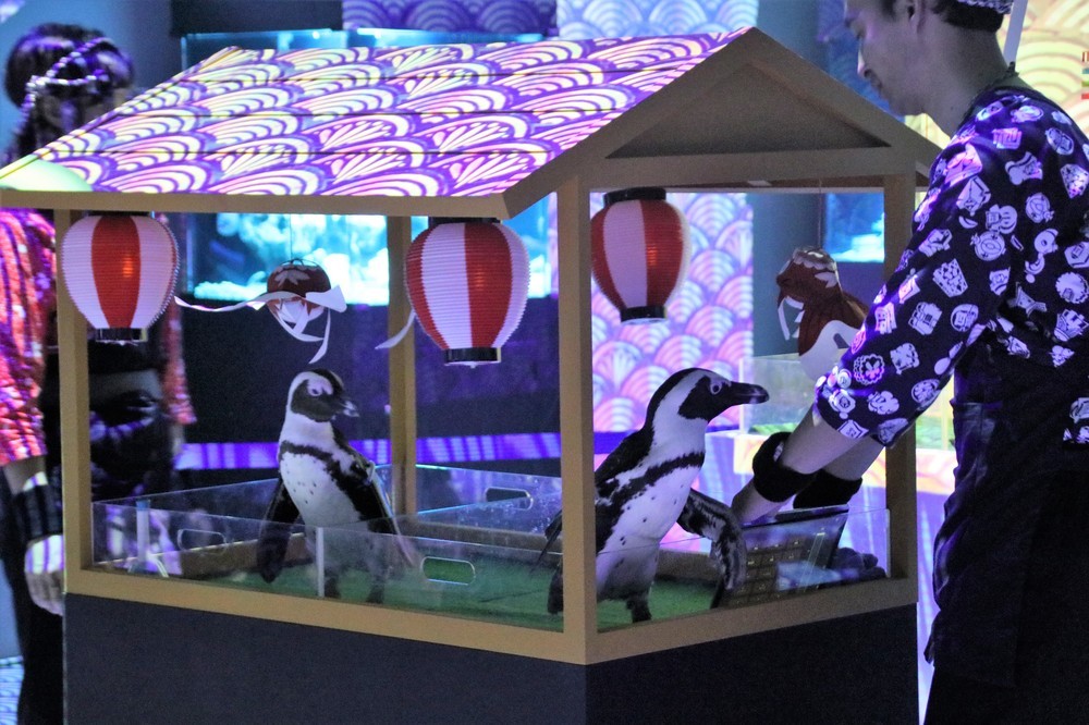 ペンギンたちが「屋台」に乗って登場