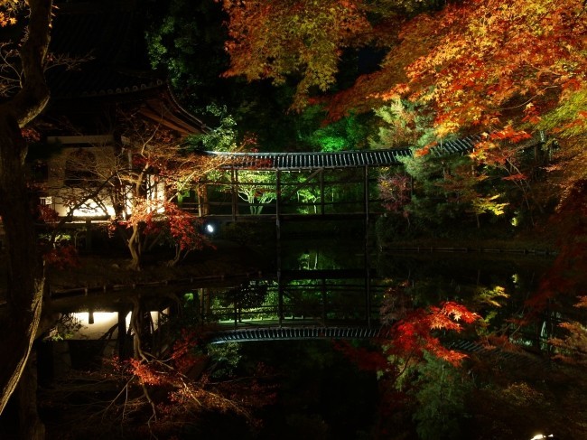 京都の紅葉の名所　夜の高台寺を貸切散策できる宿泊プラン