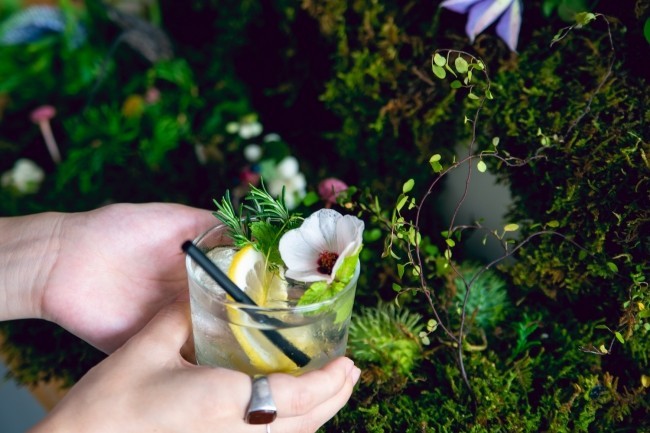 ハーブや花を摘みとって「モクテル」に　日本茶専門店のアートイベント