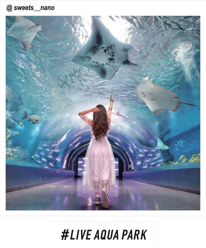 人気インスタグラマーの撮影写真が広告に　マクセルアクアパーク品川「LIVE AQUA PARK」