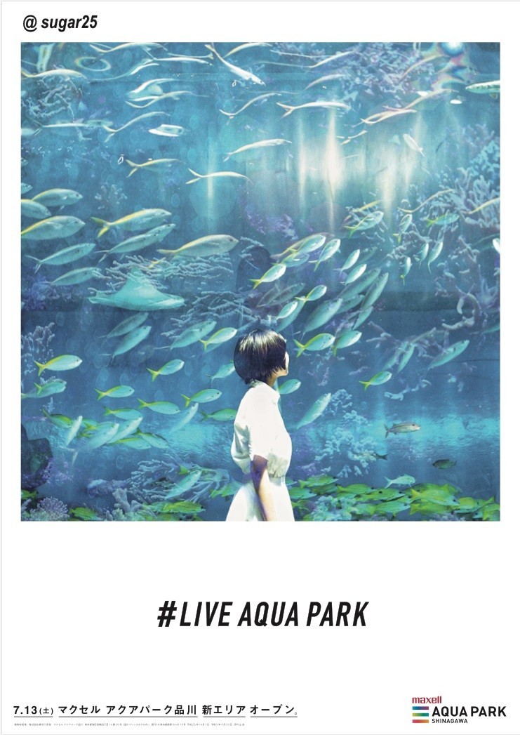キャプション：フォトジェニック広告「LIVE AQUA PARK」(3)