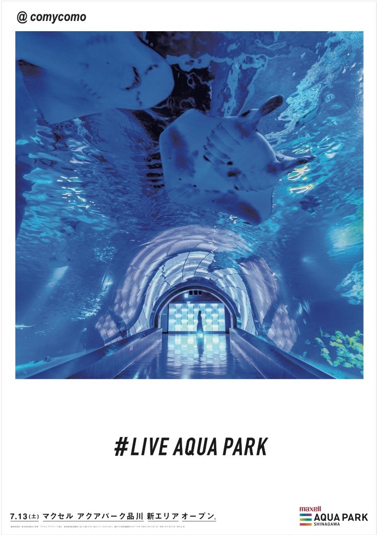 キャプション：フォトジェニック広告「LIVE AQUA PARK」(7)