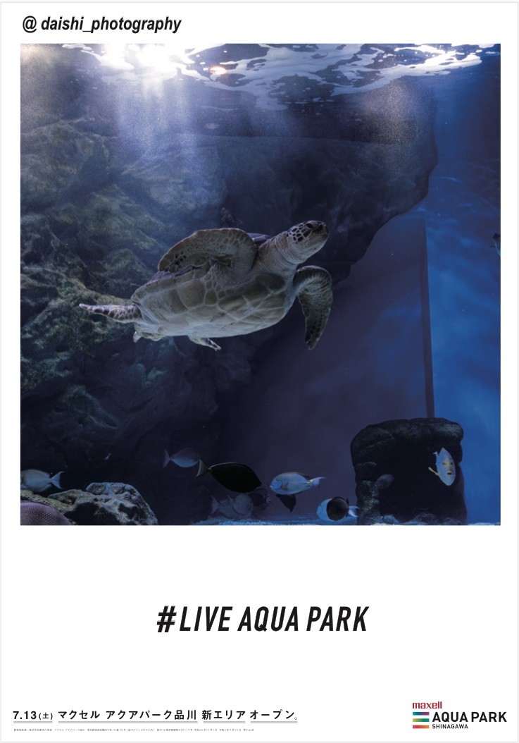 キャプション：フォトジェニック広告「LIVE AQUA PARK」(8)
