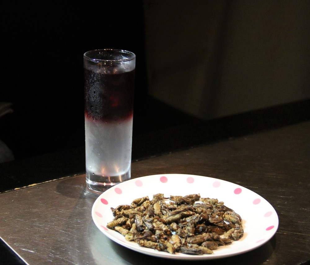 たっぷり入っているオケラ