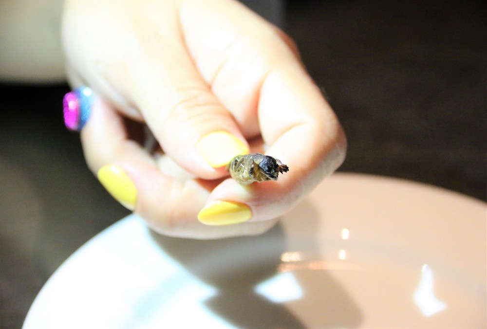 姿がしっかりわかる