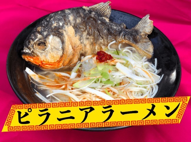 ピラニアを使ったラーメンが登場