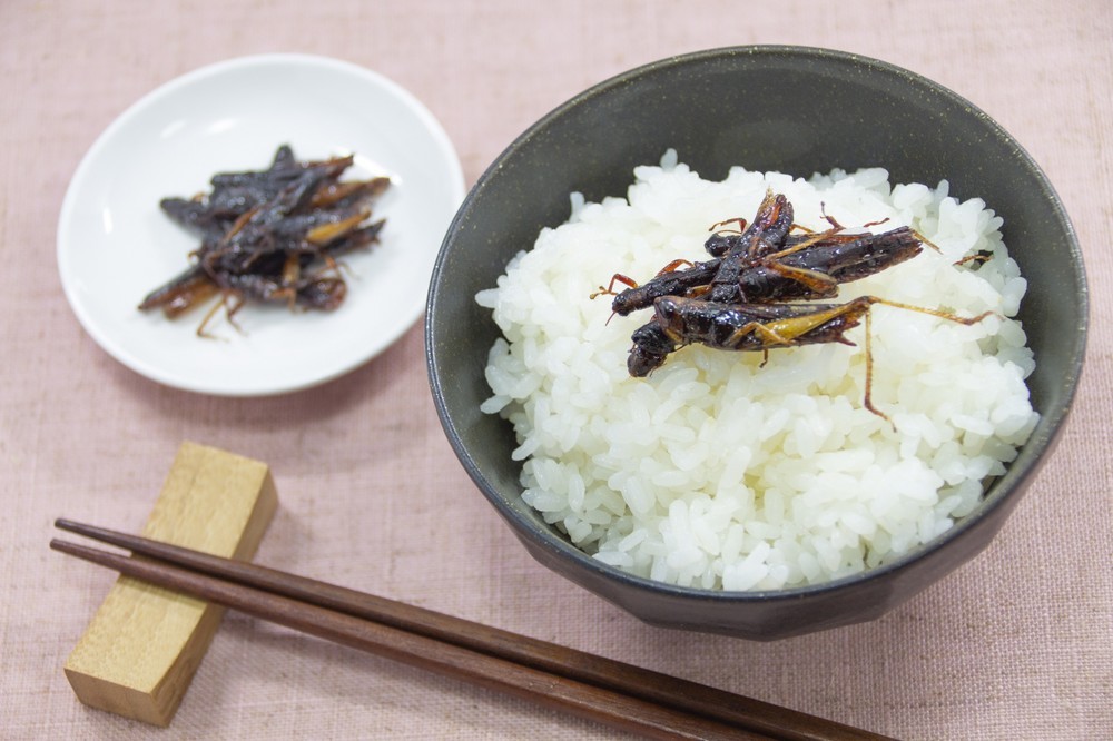 【ニュースで見る2019年（7）】アイドルだって食べちゃうぞ♪　広がる昆虫食