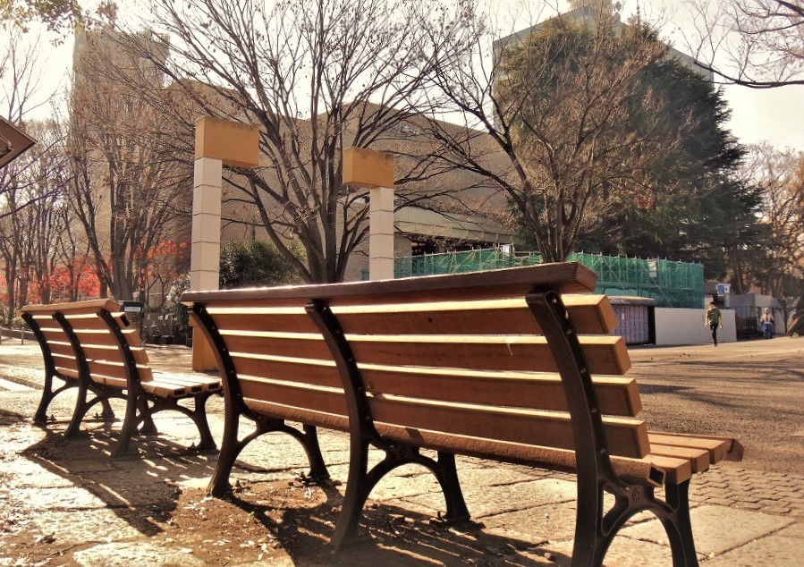 風が吹いている　水野良樹さんは五輪をめぐるバラバラをそのまま書いた