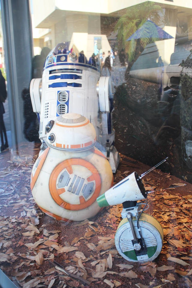 特設のフォトポイント　ガラスの反射に注意しよう