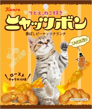 ポーズをとる猫