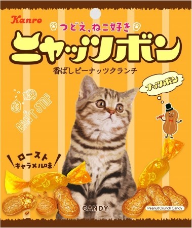 ななめに目線を向ける猫