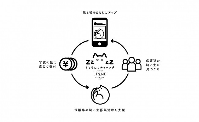 「#とろねこチャレンジ」の仕組み