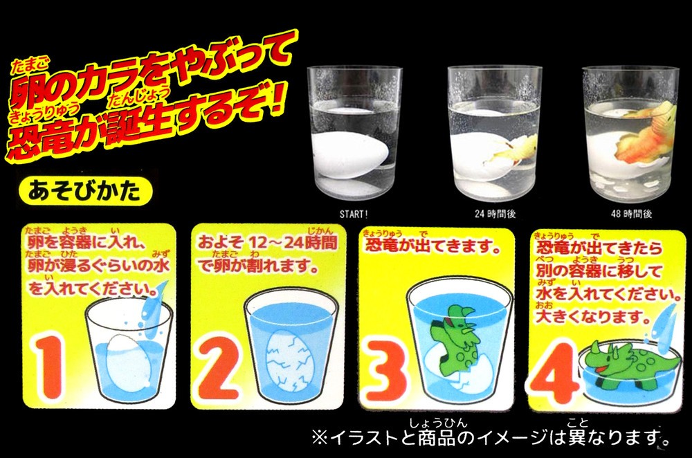 水に入れて浸しておくと中から恐竜が出てくる「恐竜のたまご」