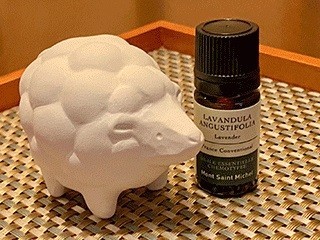 花粉症でも楽しめる春の旅行　軽井沢の宿泊プラン