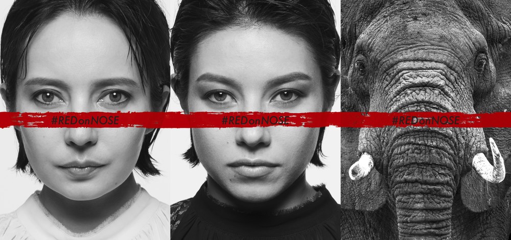 ベッキーとジェシカの姉妹が賛同　象牙販売ストップ目指す「#REDonNOSE運動」　