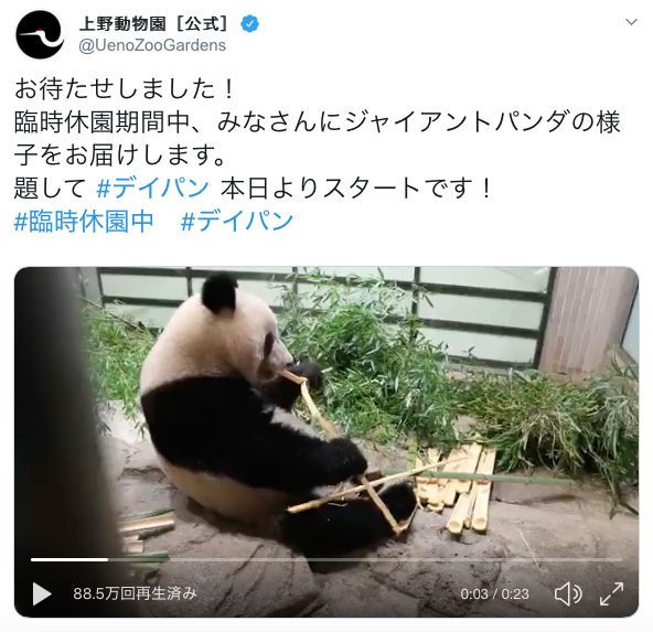 公式 上野 動物園