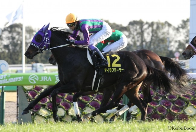 「アイラブテーラー号」高松宮記念2020出走記念