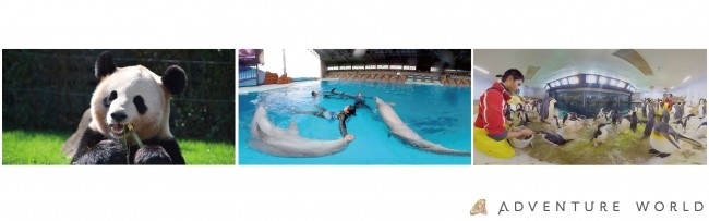 アドベンチャーワールドの動物が見られる「VR動物園」