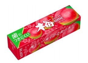 懐かしい味が歯につきにくくなった　「梅ガム」と「ブルーベリーガム」