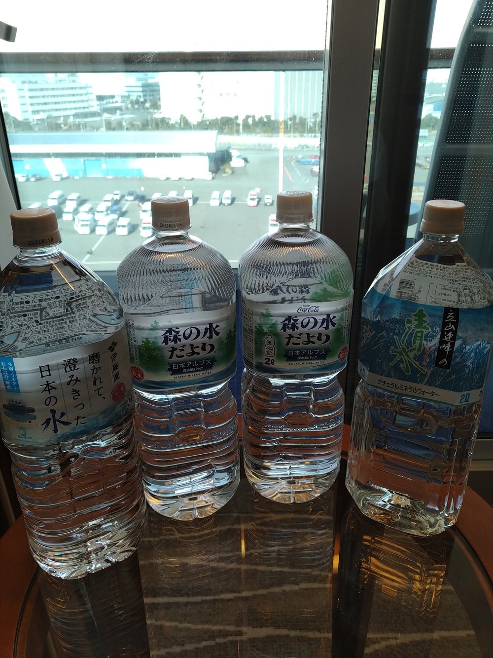 ダイヤモンド・プリンセス号の船室で撮影。停泊していた横浜・大黒ふ頭のクルーズターミナルが見える（画像提供は元乗客）