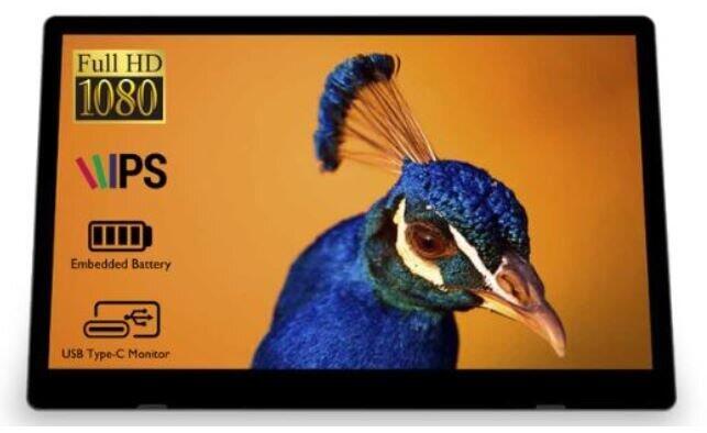 バッテリー内蔵、PCやゲーム機と簡単接続　15.6型モバイルディスプレー