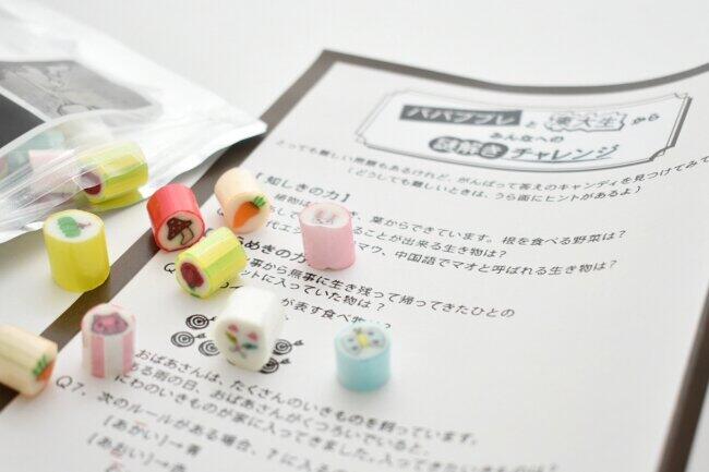 東大生の作った「謎解きキャンディ」　子どもの脳トレに