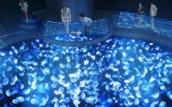 すみだ水族館リニューアルオープン 国内最大級の水盤型クラゲ水槽