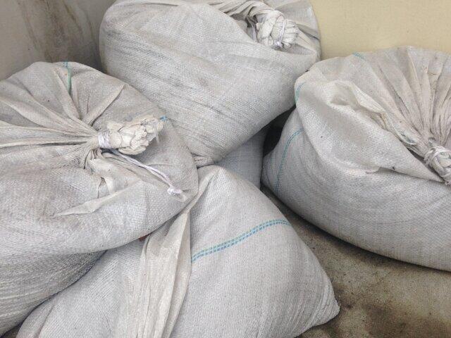 豪雨災害で自宅が浸水被害に　床下は不衛生、対策せず掃除すると感染症の恐れ