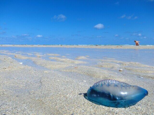 見た目の綺麗さに油断してはいけない（画像はフリー）