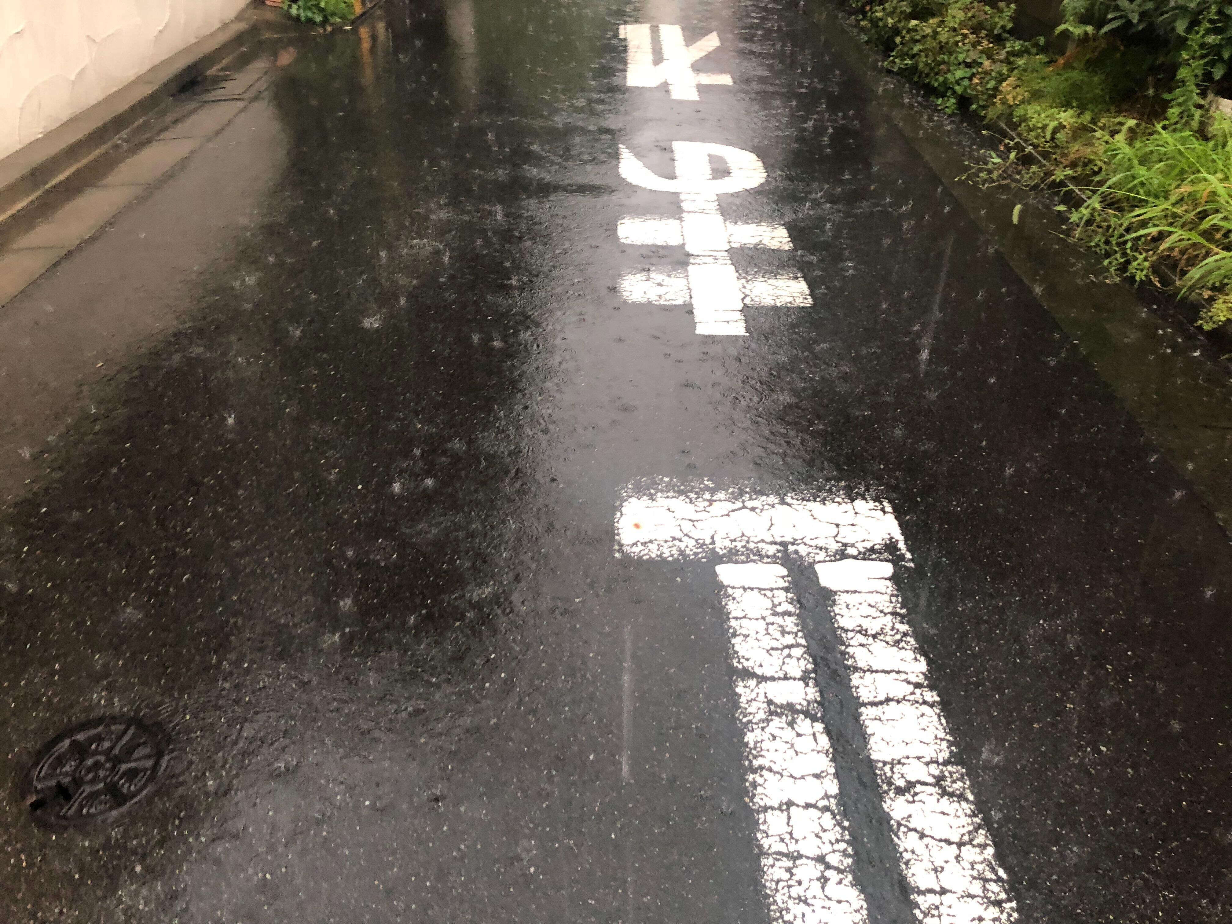 「ゲリラ豪雨」埼玉で2日連続　川口で停電、落雷で電車遅れ、記者もずぶ濡れ