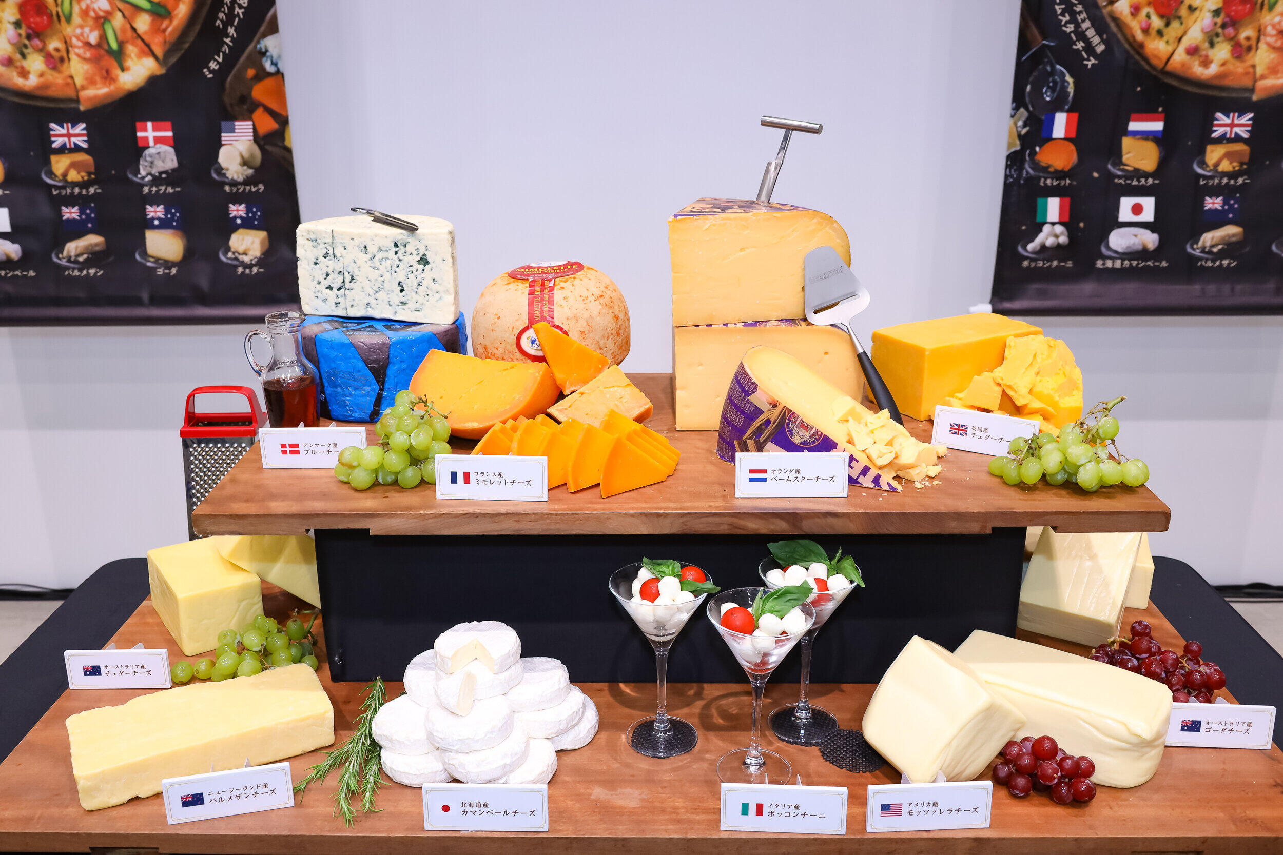 世界各国のチーズから10種類を厳選