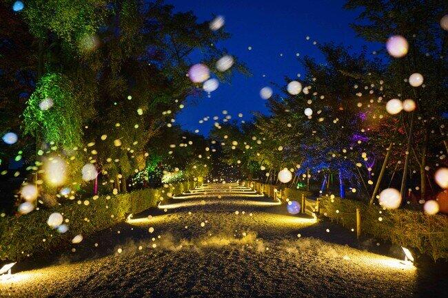 新型コロナ収束を願うプロジェクションマッピング花火アート