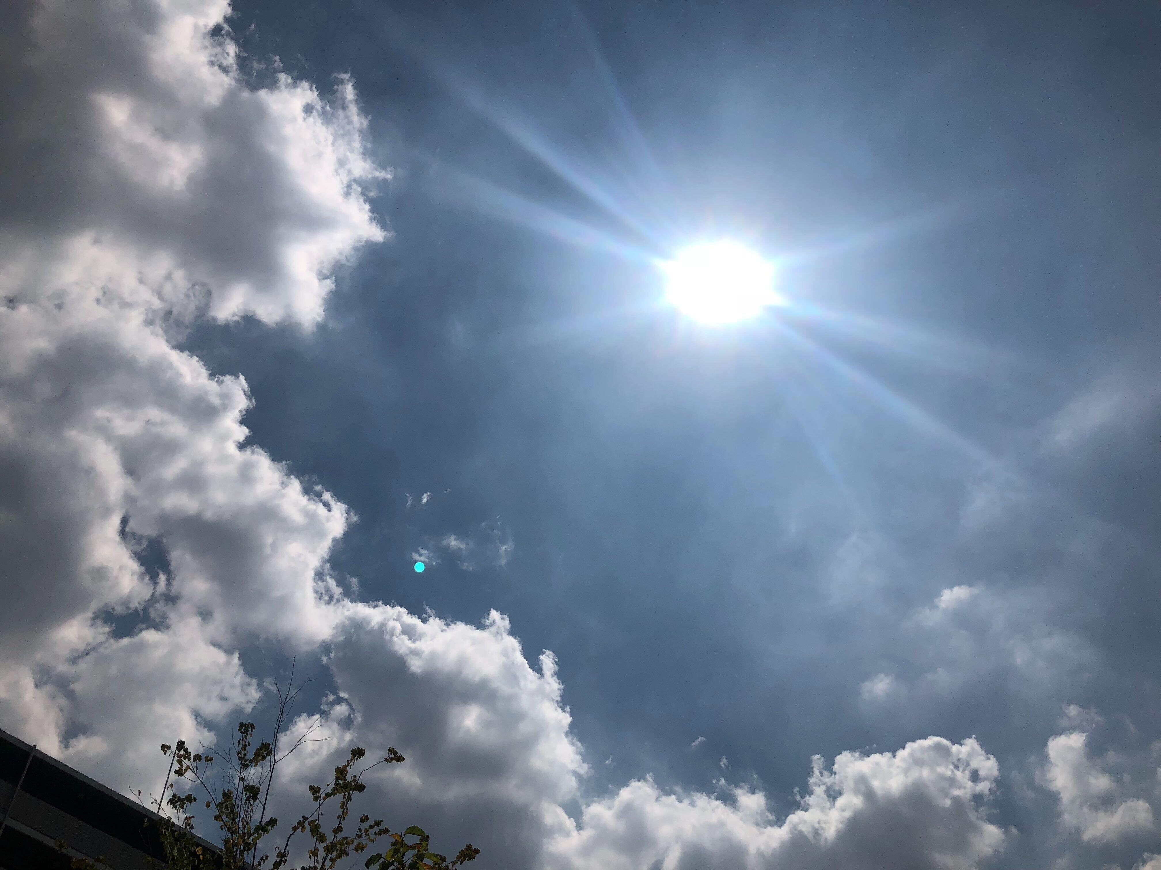 影の無い道はマスクを着けて歩くと数分で汗だくに