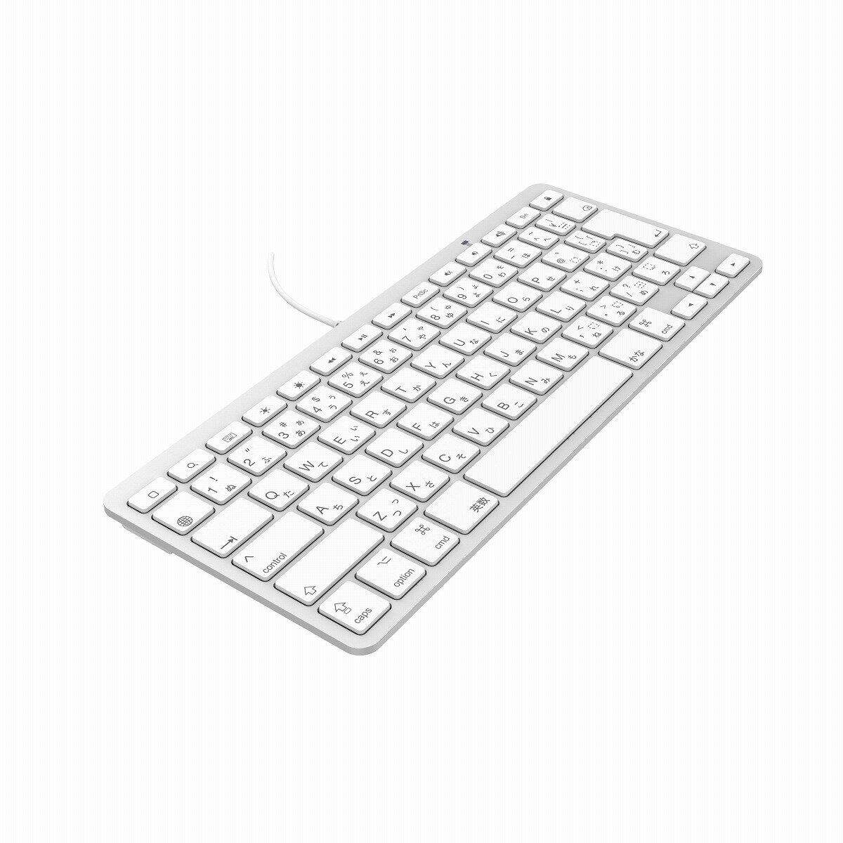 かな印字付きのLightningコネクター専用キーボード