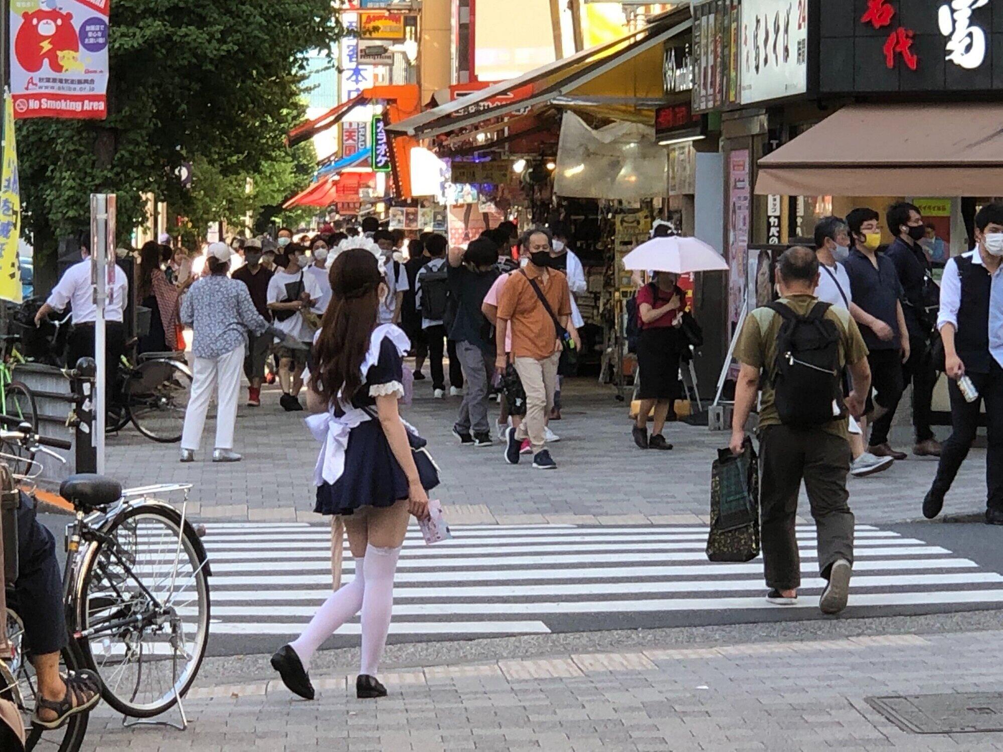 メイド喫茶から消えた「ご主人様」　秋葉原を歩くと女性から声をかけられて...