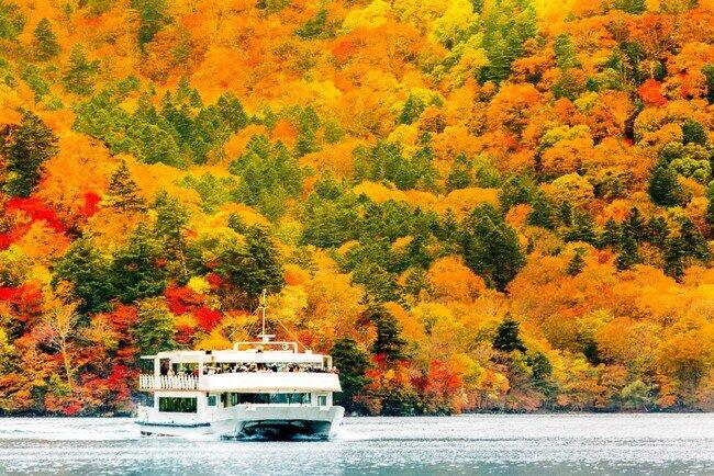 ソーシャルディスタンスを確保した「日光紅葉夜行」運行