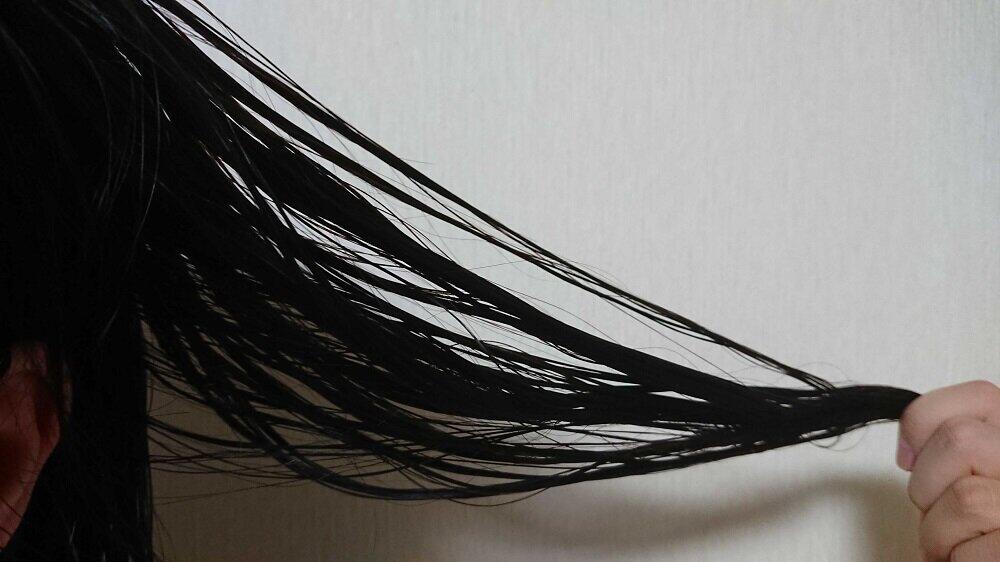 記者の髪（タオルドライ後の濡れ髪）