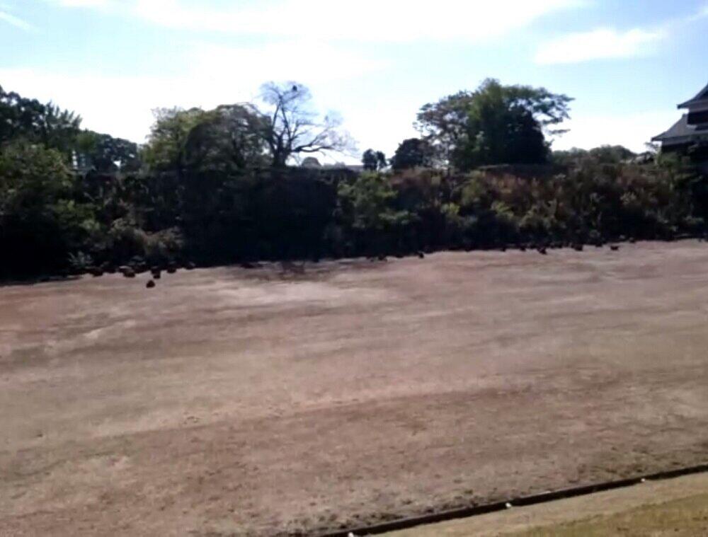 本丸の西に設けられた防衛拠点「西出丸」