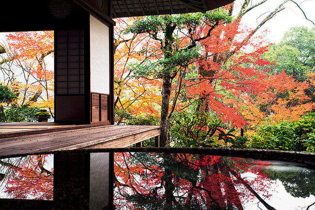 伊予の小京都、大洲で「紅葉おでかけセット付きプラン」　ドリンクやフードも用意