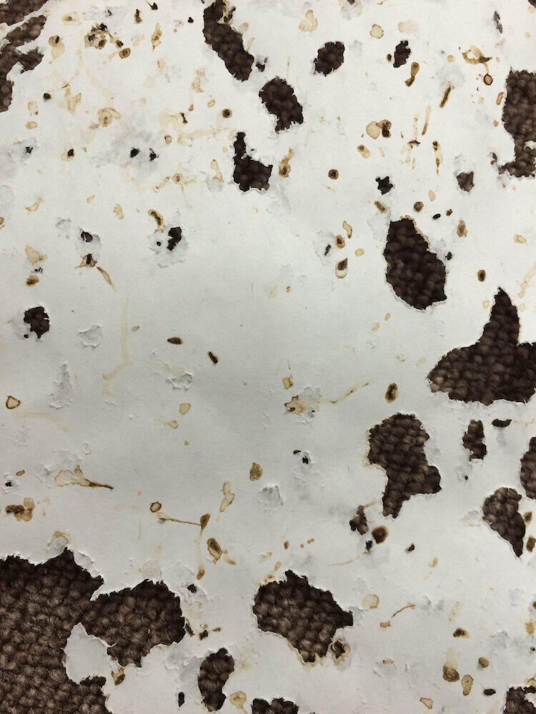 ゴキブリの通り道であることを示す「ローチサイン」（アース製薬提供）