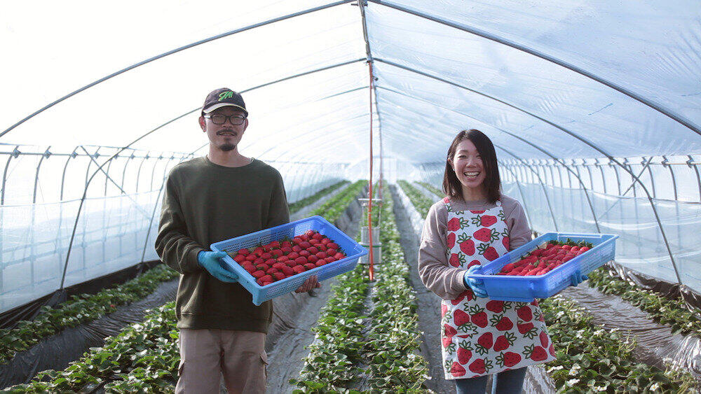 生産者にはSNSを通じて感謝を伝えることができる 