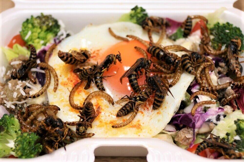 とりあえず二種とも振りかけてみた、の図