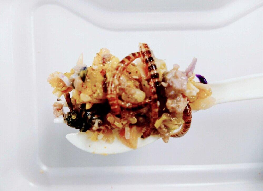 ミールワームやハチと混ぜたガパオライス